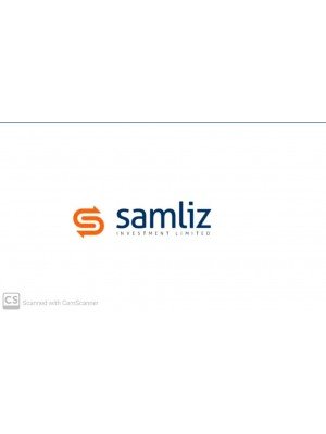 Olufemi Samson Olutope, Samliz Investment Limited